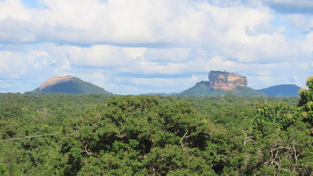Into The Wild Sigiriya Hotel Eksteriør billede