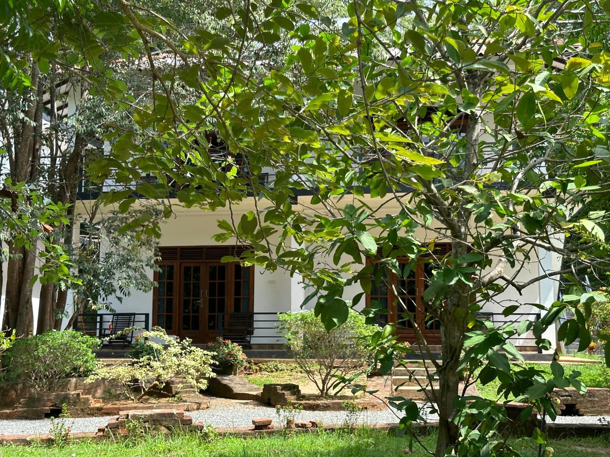 Into The Wild Sigiriya Hotel Eksteriør billede