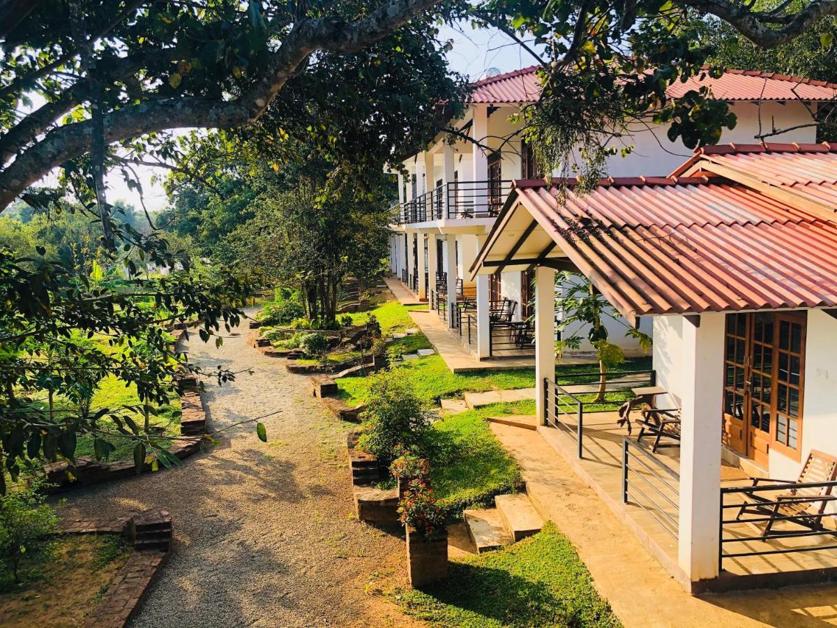 Into The Wild Sigiriya Hotel Eksteriør billede