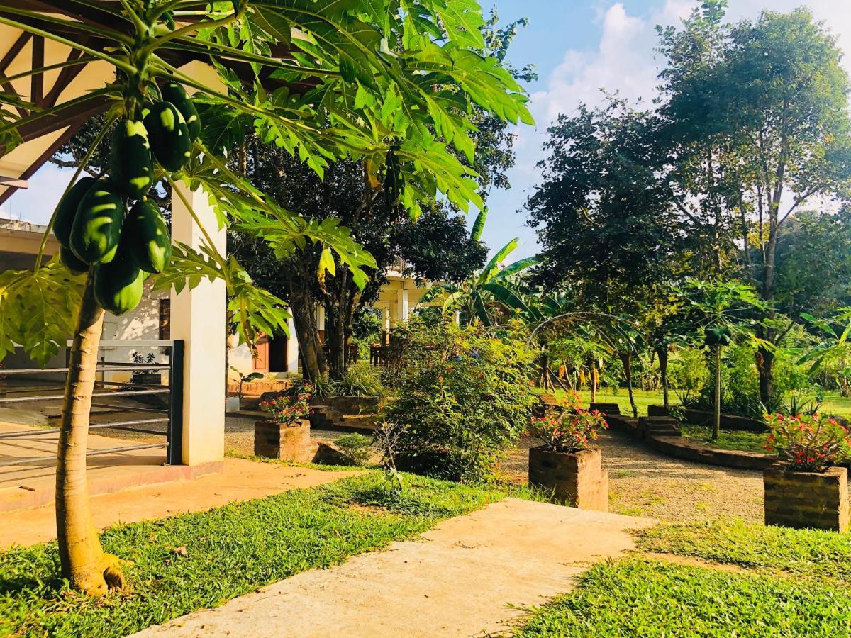 Into The Wild Sigiriya Hotel Eksteriør billede